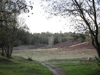 Vakantiehuis Uddel Omgeving 38