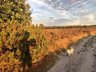 Casa de vacaciones Uddel Entorno 25