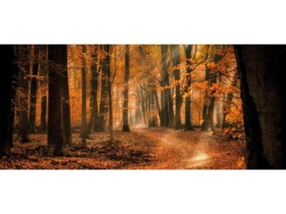 Vakantiehuis Uddel Omgeving 33