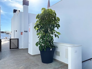 Appartement Torrox Pueblo Buitenaudio-opname 10