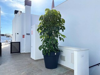 Appartement Torrox Pueblo Buitenaudio-opname 4