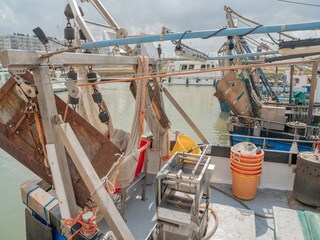 Apartment Blankenberge Environment 17