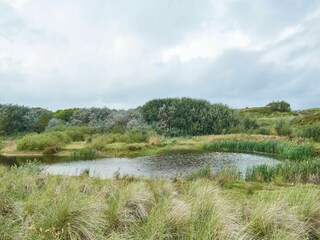 Appartement Blankenberge Omgeving 21