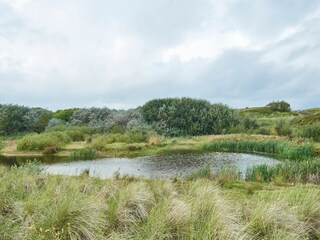 Apartment Blankenberge Umgebung 18