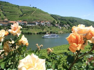 Appartement Porto Omgeving 22