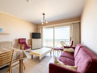 Apartamento Blankenberge Características 11