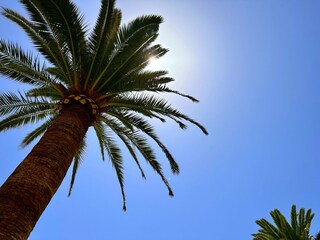 Vakantiehuis Nerja Buitenaudio-opname 11