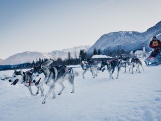 Appartamento per vacanze St. Ulrich am Pillersee Ambiente 20