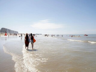 Appartement Blankenberge Environnement 17