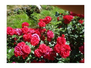 Casa per le vacanze Hiltpoltstein  6