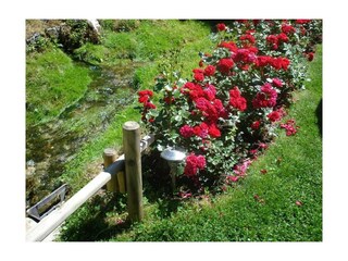 Casa per le vacanze Hiltpoltstein  7