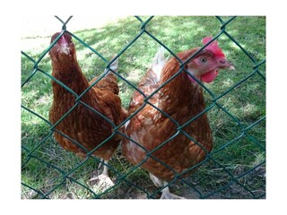 Casa per le vacanze Hiltpoltstein  23