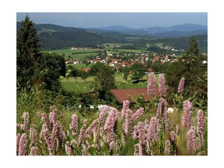 Casa per le vacanze Hinterschmiding  18