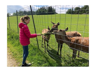 Ferienhaus Hinterschmiding  20