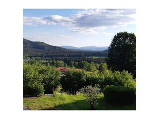 Ferienhaus Bodenmais  1