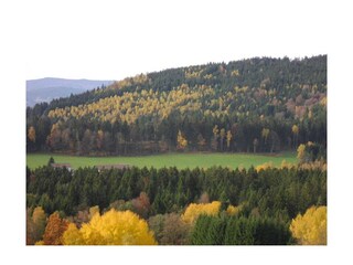 Vakantiehuis Bodenmais  3