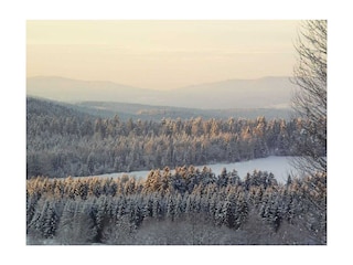 Ferienhaus Bodenmais  17