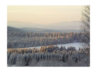 Holiday house Bodenmais  17