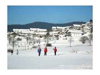 Holiday house Bodenmais  18