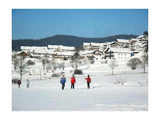 Maison de vacances Bodenmais  18