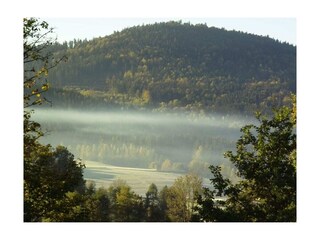 Casa per le vacanze Bodenmais  20