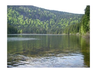 Vakantiehuis Bodenmais  21