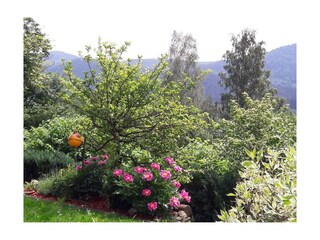 Maison de vacances Bodenmais  12