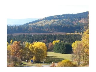 Ferienhaus Bodenmais  13