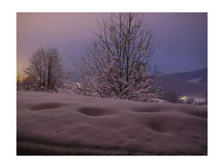 Casa per le vacanze Bodenmais  14