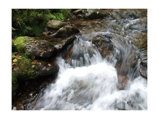 Holiday house Bodenmais  18