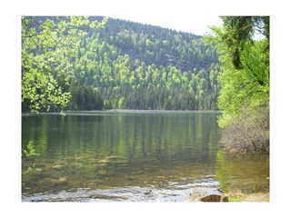 Holiday house Bodenmais  20