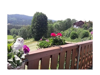 Ferienhaus Bodenmais  3