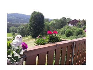 Maison de vacances Bodenmais  3