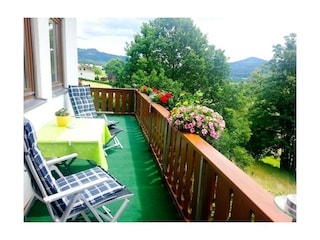 Ferienhaus Bodenmais  5