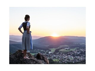 Maison de vacances Bodenmais  17
