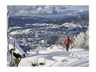 Casa de vacaciones Bodenmais  18