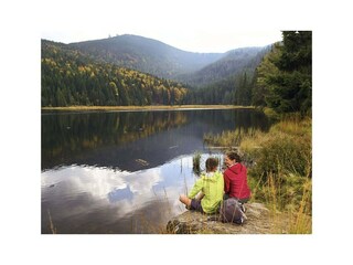 Vakantiehuis Bodenmais  19