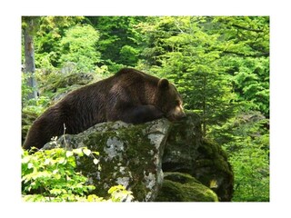 Casa per le vacanze Eppenschlag  17