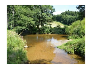 Chalet Eppenschlag  25