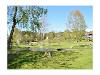 Chalet Eppenschlag  29