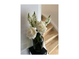 Holiday house Fürstenhof  18