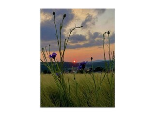 Casa de vacaciones Fürstenhof  26