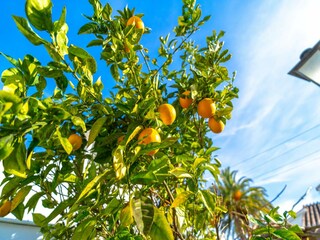 Villa Nerja Buitenaudio-opname 24