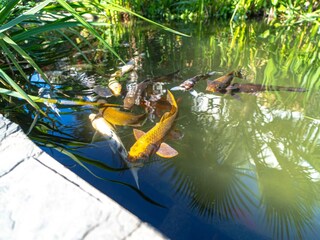 Appartamento Nerja Registrazione all'aperto 2