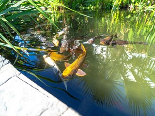 Apartamento Nerja Grabación al aire libre 17