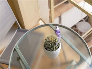 Appartement Torremolinos  22