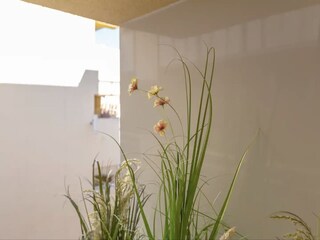 Appartement Torremolinos  23
