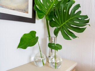 Apartment Torremolinos  36