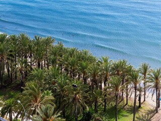 Apartment Torremolinos Umgebung 34