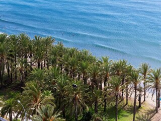 Appartement Torremolinos Environnement 22